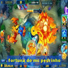 fortuna do mc pedrinho