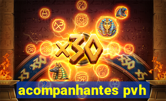 acompanhantes pvh