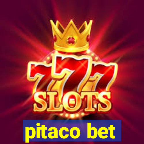 pitaco bet