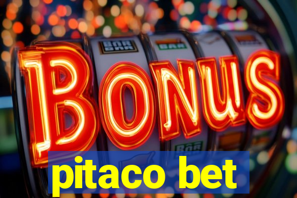 pitaco bet