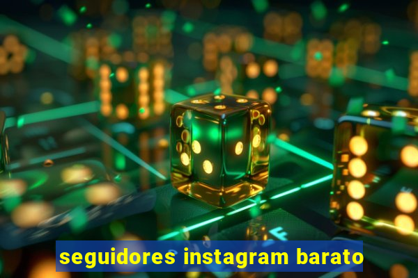 seguidores instagram barato