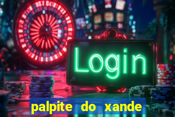 palpite do xande de hoje