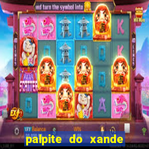 palpite do xande de hoje