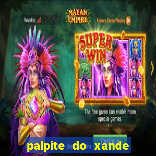 palpite do xande de hoje