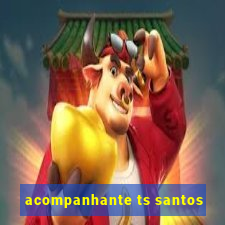 acompanhante ts santos