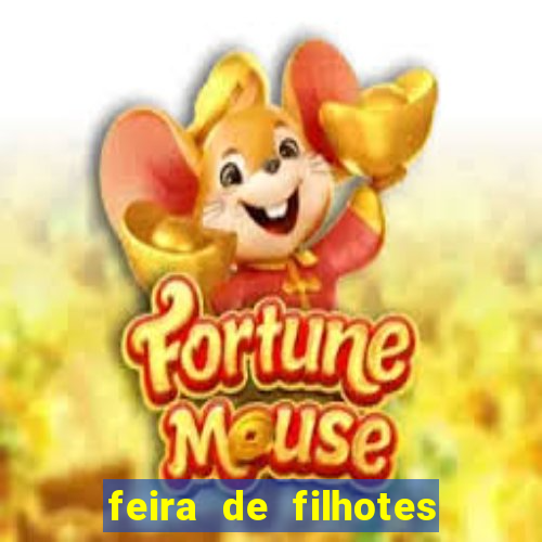 feira de filhotes porto alegre