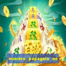 numero papagaio no jogo do bicho