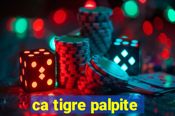 ca tigre palpite