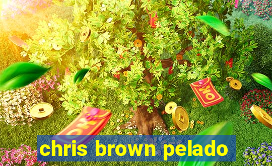 chris brown pelado