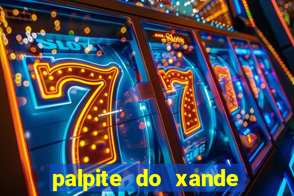 palpite do xande para hoje