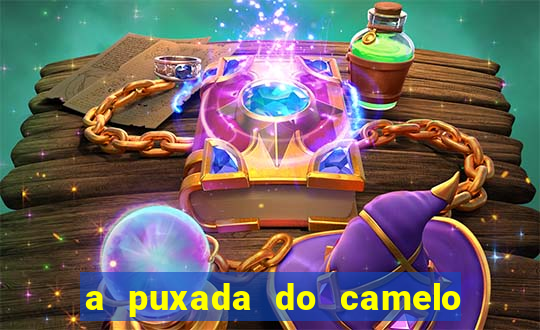 a puxada do camelo no jogo do bicho