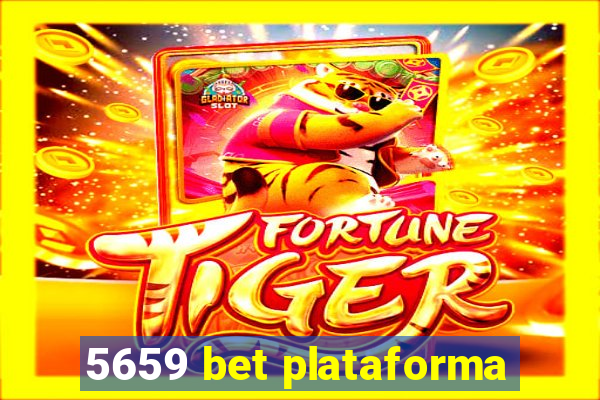 5659 bet plataforma