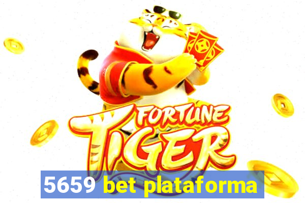 5659 bet plataforma