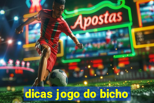 dicas jogo do bicho