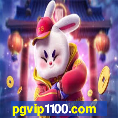 pgvip1100.com