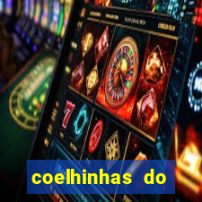 coelhinhas do brasil recife