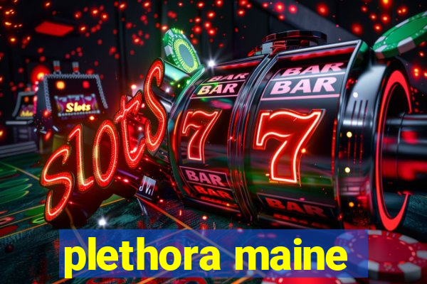 plethora maine