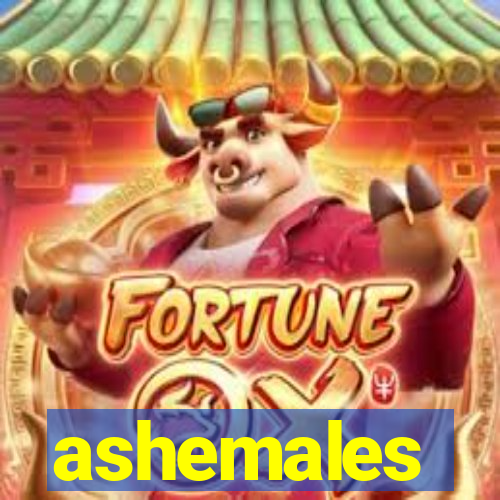 ashemales