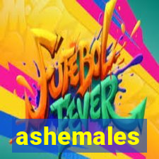 ashemales