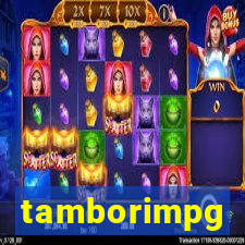 tamborimpg