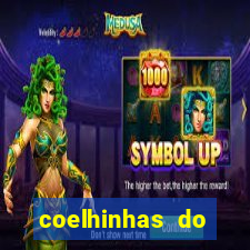 coelhinhas do brasil site