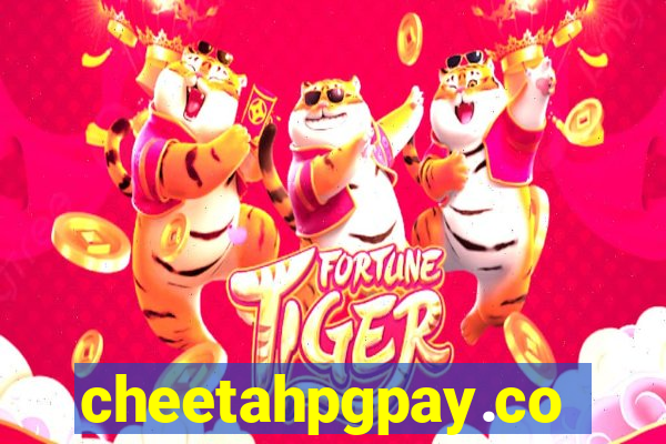 cheetahpgpay.com