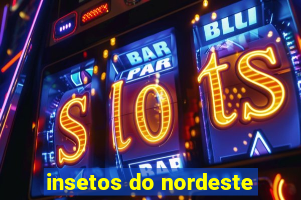 insetos do nordeste