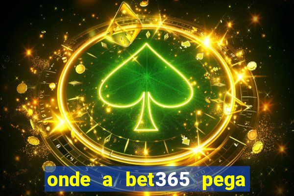 onde a bet365 pega as estatisticas