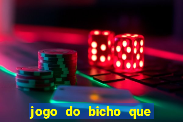 jogo do bicho que paga no pix