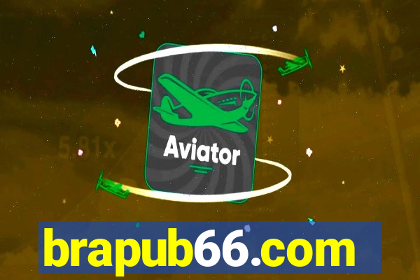 brapub66.com