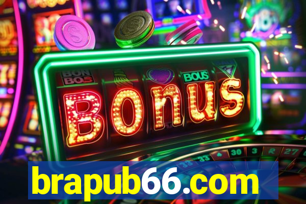 brapub66.com