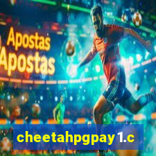 cheetahpgpay1.com