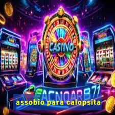 assobio para calopsita