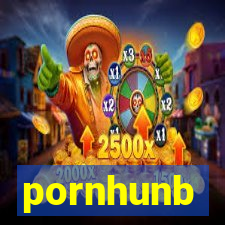 pornhunb