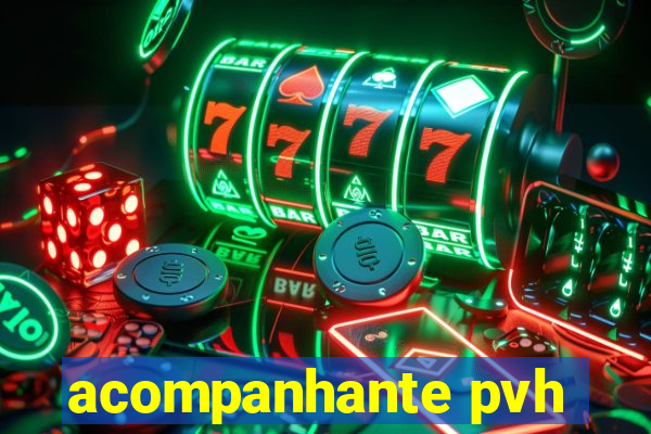 acompanhante pvh