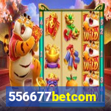 556677betcom