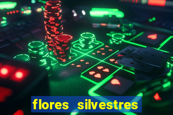 flores silvestres desbravadores desbravadores 25 flores silvestres e seus nomes