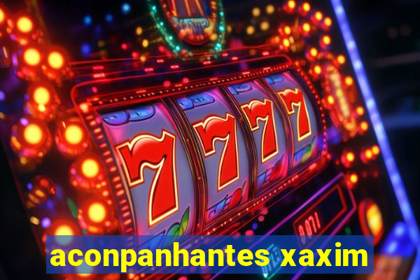 aconpanhantes xaxim