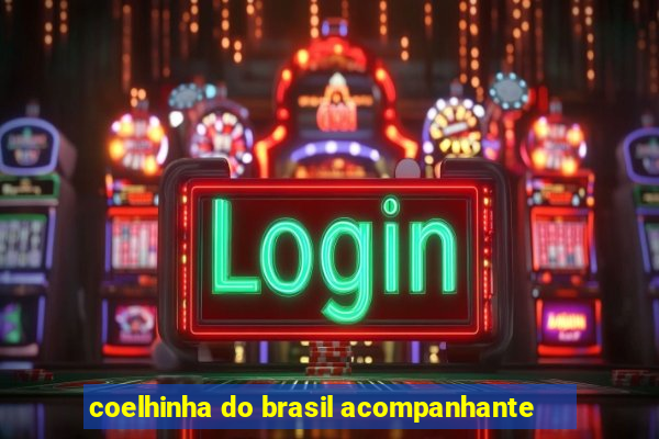 coelhinha do brasil acompanhante