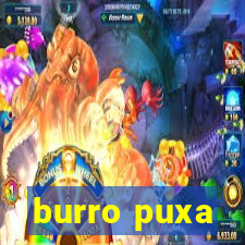 burro puxa