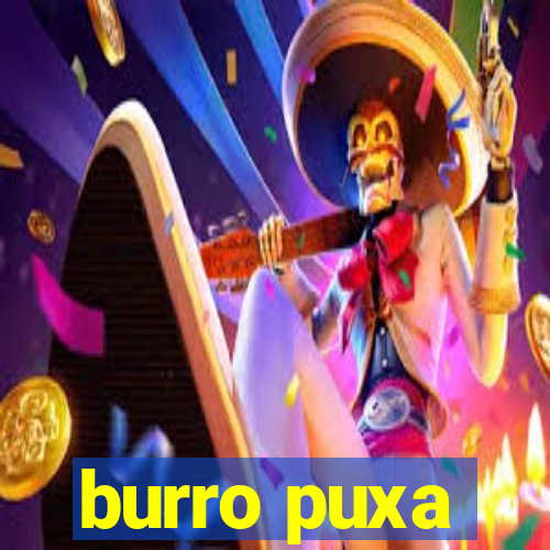 burro puxa