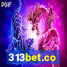 313bet.co