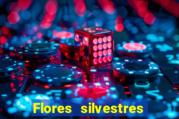 Flores silvestres brasileiras brasileiras flores silvestres nomes e imagens