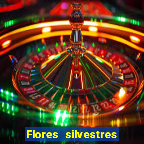 Flores silvestres brasileiras brasileiras flores silvestres nomes e imagens