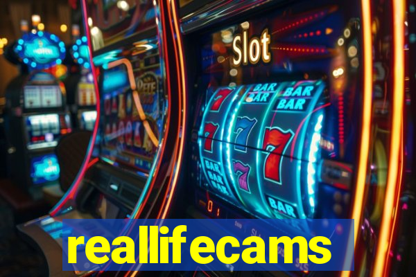 reallifecams