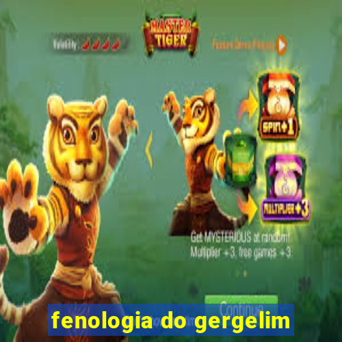 fenologia do gergelim