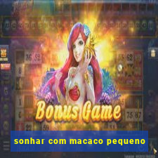 sonhar com macaco pequeno