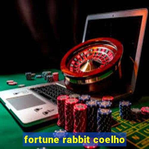 fortune rabbit coelho