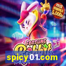 spicy01.com