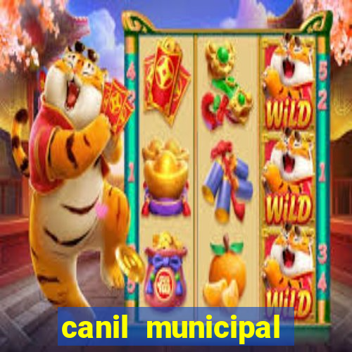 canil municipal porto alegre